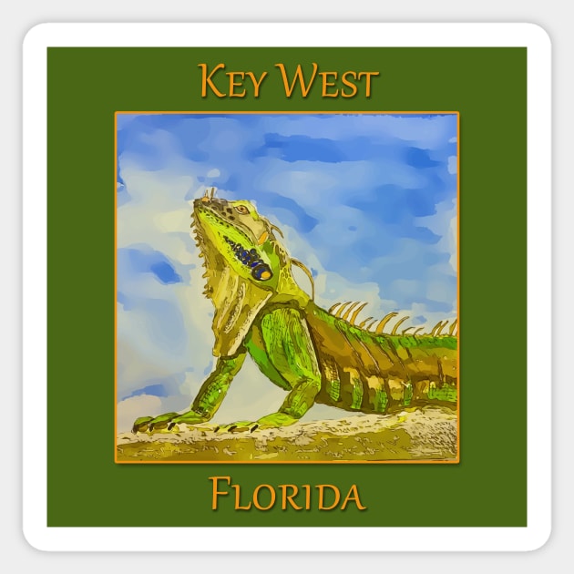 Key West Florida Iguana - WelshDesigns Sticker by WelshDesigns